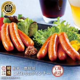 ＼ 楽天イーグルス感謝祭 P5倍 ／ 「国産 那須 ギフト セット 」 ウインナー ソーセージ ギフトセット 那須高原 特級 ピリ辛 ウィンナーソーセージ あらびきウインナー ウインナーギフト ウインナー詰め合わせ ポークウィンナー ビールのつまみ フードリエ(NSB-22W)