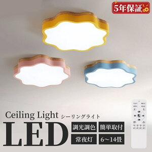 _BLACK FRIDAYIő2000~^V[OCg  킢 q 킢  Hsv V[OCg  F 6 8 Rt ؖڒ LEDƖ VƖ rO 