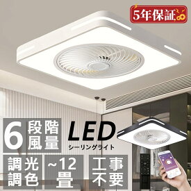 シーリングファン シーリングファンライト ファン付 LED シーリングライト 薄型 8畳 10畳 12畳 高輝度 天井照明 照明器具 調光 調色 常夜灯 メモリ タイマー 省エネ 寝室 部屋 オフィス 空気循環 リモコン アプリ 和室 照明 洋室 シンプル