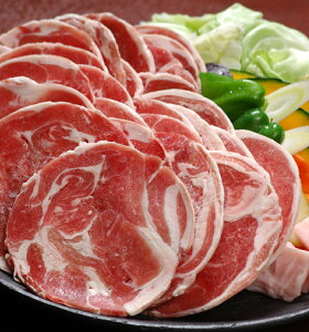 y XCX100g zkCWMXJ̒ т̂ kCY WMXJ o[xL[ hV̓ v[g NX}X