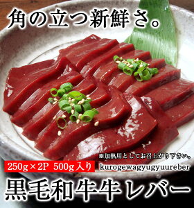 y јa o[500g 250g×2 zohs o^C ubN Gift a Ă Ε Ε  јa VN  j ̓ ̓ 蕨 Ԃ  