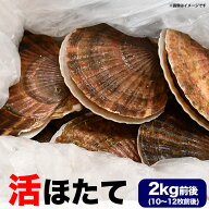 ホタテ 活 貝付き 2kg 前後(10～12枚前後) 北海道産 帆立 ほたて 刺身 生食 海鮮丼 寿司【お届け日指定不…