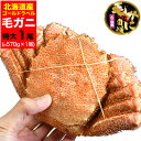 【カニ激売祭り】【特大】毛ガニ 570g 前後 北海道産 姿 味噌 けがに 毛がに カニ 蟹 かに 脚 折脚たし脚入る場合があります