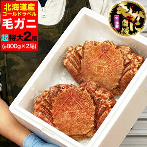 【超特大】毛ガニ 800g 前後×2尾セット 北海道産 姿 味噌 けがに 毛がに カニ 蟹 かに 脚 折脚たし脚入る場合があります【年末配送は注文カート内の日付選択または記入欄(備考欄)で指定可能