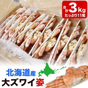 y݌Ɍ^ll2R܂ŁzkCY II YCKj (YCKj) p 11荇v3kgO (1270g) IIYCKj Jj I  p[eB[ŷsz