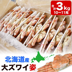 y݌Ɍ^ll2R܂ŁzkCY II YCKj (YCKj) p 10`11荇v3kgO (1270`300g) IIYCKj Jj I  p[eB[ŷsz