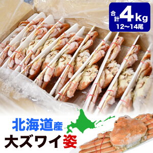 【在庫限り/お一人様2コまで】北海道産 オオ ズワイガニ (大ズワイガニ) 姿 12〜14尾入(入数選択不可)合計4kg前後 オオズワイガニ カニ 蟹 かに パーティー【のし不可】【年末配送は注文カー