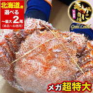 【在庫限り最安値に挑戦】【年末指定は備考欄で受付中】【超超特大】毛ガニ 北海道産 1kg前後 姿 1尾 2尾…
