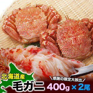 yX|bg݌Ɍ肨ll2R܂Łz kCY уKj 400g O × 2 Zbg v 800g O p X  т Jj I  m r  ܋rrꍇ 󂠂 킯 L n