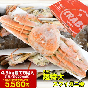 yX|bg݌Ɍ肨ll2܂Łz  YCKj p 4.5kg 5 (1900gO) 킢 Jj I  p[eB[ [󂠂iɂ܂ꂽr܂]yNz