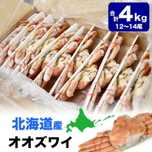 y݌Ɍ^ll2R܂ŁzkCY II YCKj p 12`14(Is)v4kgO IIYCKj Jj I  p[eB[ŷszyNz͒J[g̓tI