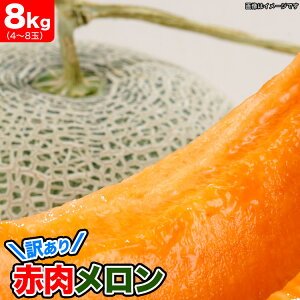 y2026Nn\z@ԓ kCY 8kgi4`8ʓj m߂ 킯 Ln y͂wsz y2026N7{O㍠育ɔzyʐwsz