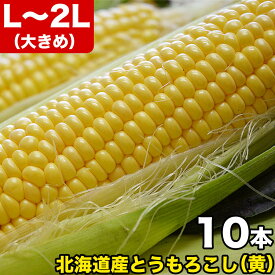 とうもろこし 黄粒 L～2L×10本 ［北海道産 とうきび］ 【お届け日指定不可無効】 【2024年8月下旬前後頃よりご注文順に発送】