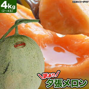 y2026Nn\z[ 󂠂 4kgi2`4ʓj m kCY ߂ ԓ 킯 Ln y͂wsz y2026N7O㍠育ɔzyʐwsz