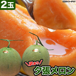 y2026Nn\z[ 󂠂 2ʂŖ2.6kgi1ʂ1.3kgj m kCY ߂ ԓ 킯 Ln y͂wsz y2026N7O㍠育ɔz