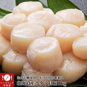 yzz^e L 1kg O (41`60ʑO) kCY ق  hg ʗ H CN i VN}oŎoył