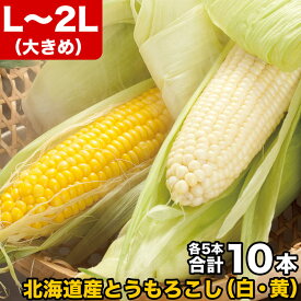 とうもろこし 黄粒 白粒 2色の食べ比べ セット L～2L 各5本（合計10本） 北海道産 とうきび【お届け日指定不可無効】 【2024年8月下旬前後頃よりご注文順に発送】