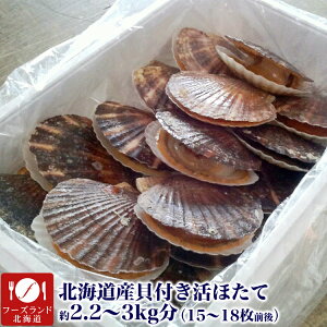 殻付き ほたての人気商品 通販 価格比較 価格 Com 殻付き ほたての人気商品 通販 価格比較 価格 Com