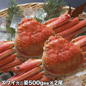 YCKj p d 500g O×2Zbg p X 킢 YC Jj I  r ܋rrꍇ܂yNz͒J[g̓tI܂͋L(l)Ŏw\z