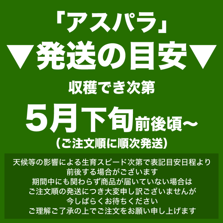 楽天市場】【2025年収穫予約】アスパラ 北海道産 訳あり 約1kg