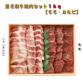 九州産 黒毛 和牛 焼肉セット 1kg 【モモ・バラ】 送料無料（北海道・沖縄除く） 焼肉 バ！ーベキュー 黒毛和牛 牛肉 国産 和牛 大容量 ＊ふるさと納税ではありません