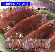 牛レバー 生レバー 宮崎県有田牧場より直送！新鮮！九州産牛生レバー600g（約100g×6パック）小分けパッ…