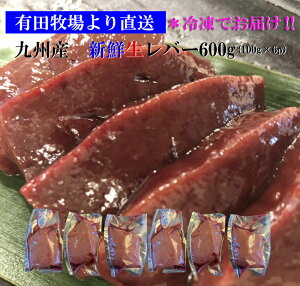 o[ o[ {茧Lcq蒼IVNIBYo[600gi100g×6pbNjpbNyvMz iHpł͂܂j (kCE͏jMtg 