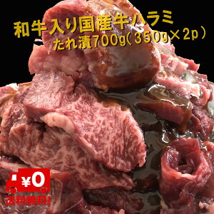 񂹃O n~ a Yn~^Ђ700gi350g×2pj(kCEꏜj {茧Lcq꒼ n~ Yn~ ͂ a ē o[xL[ Mtg 2023N15