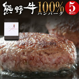 熊野牛 100% ハンバーグ 5食 セット お歳暮 内祝い 贈答品 ギフト に最適 黒毛和牛 和牛 牛 高級 和牛ハンバーグ 1個100g