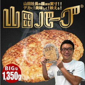 山田バーグ 1,350g クリスマス パーティー にもお勧め 大容量 安心・安全 ISO導入工場生産 BBQ バーベキュー グルメ ギフト で 大人気 冷凍食品 お取り寄せ グルメ 子供が喜ぶ ジューシー で 美味い BIG サイズ お買得 送料無料 日本製 ハンバーグ