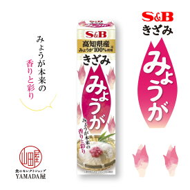 楽天市場 チューブ 調味料の通販