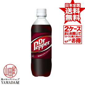 安心のメーカー直送！玄関で楽々受取♪ 【2ケースセット】 ドクターペッパー PET 500ml 48本(24本×2箱) 送料無料 炭酸飲料 日本コカ・コーラ