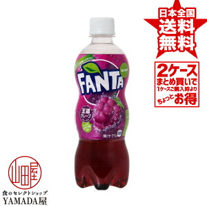 【2ケースセット】 ファンタグレープ PET 500ml 48本(24本×2箱) 送料無料 炭酸飲料 日本コカ・コーラ