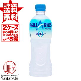 安心のメーカー直送！玄関で楽々受取♪ 【2ケースセット】 アクエリアスゼロ PET 500ml 48本(24本×2箱) AQUARIUS アクエリ スポーツドリンク 清涼飲料水 ペットボトル 日本コカ・コーラ