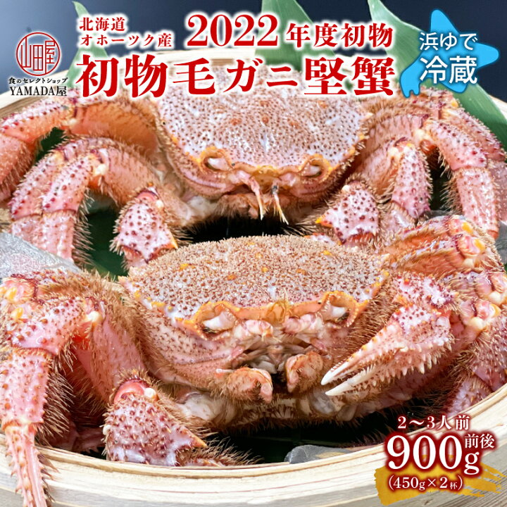 楽天市場 22年度 初物 オホーツク産 未冷凍 冷蔵 活毛ガニ 0 9kg 前後 450g 2尾 セット レビュー記入で500円quoカードプレゼント 新鮮 浜茹 活毛蟹 最上級 堅蟹 北海道 北海道産 毛ガニ 毛がに 毛蟹 蟹 カニ かに 送料無料 お取り寄せ グルメ ギフト カニ通販