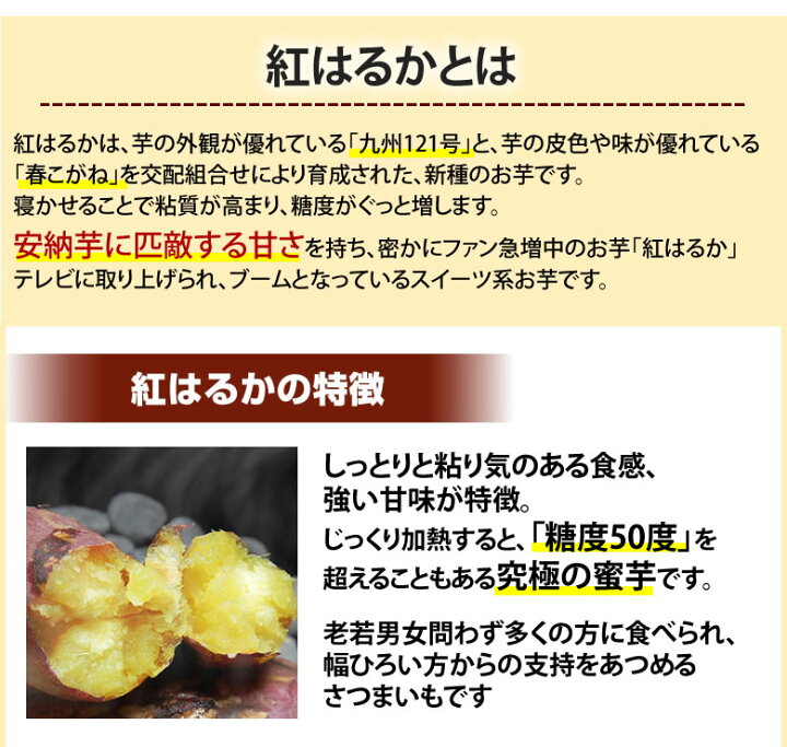 楽天市場】さつまいも 紅はるか 訳あり 10kg 箱込（内容量9kg＋補償分500g) 送料無料 無選別 べにはるか 熊本県産 サツマイモ 紅蜜芋 芋  いも : Foody's
