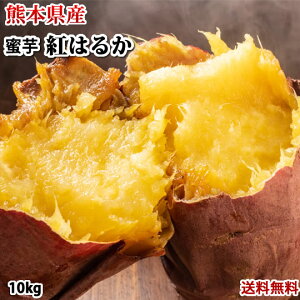 ܂ g͂邩 Gi10kg  F{Y ׂɂ͂邩Tc}C g Ă  