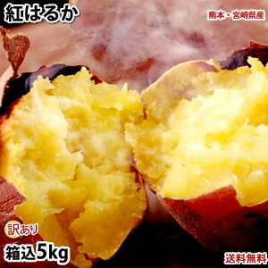 y101̓|Cg5{z܂ g͂邩 󂠂 5kg ie4kg{⏞500g)  F{E{茧Y  Tc}C g  