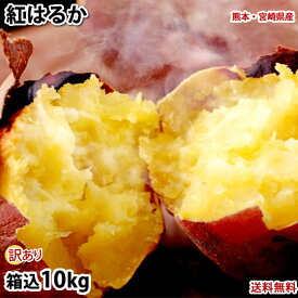 さつまいも 紅はるか 訳あり 10kg 箱込（内容量9kg＋補償分500g) 送料無料 無選別 べにはるか 熊本・宮崎県産 サツマイモ 紅蜜芋 芋 いも