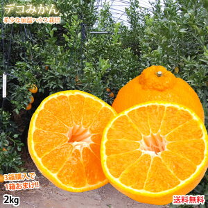 fR| i IfR݂  Gi2kg 3w1܂ 󏭂ȉnEX͔| ݂ sm  Mtg t[c