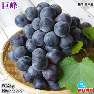 Ԃǂ  1.2kgi300g×4pbNj  EF{Y qN[ւł͂rق  Ԃǂ  sI[l