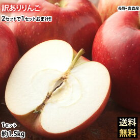 りんご 訳あり リンゴ 送料無料 約1.5kg 長野・青森県産 2セットで1セットおまけ お取り寄せ お取り寄せグルメ サンふじ つがる ジョナゴールド ふじ 林檎