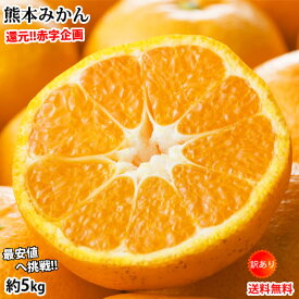 楽天市場 みかん 5kgの通販