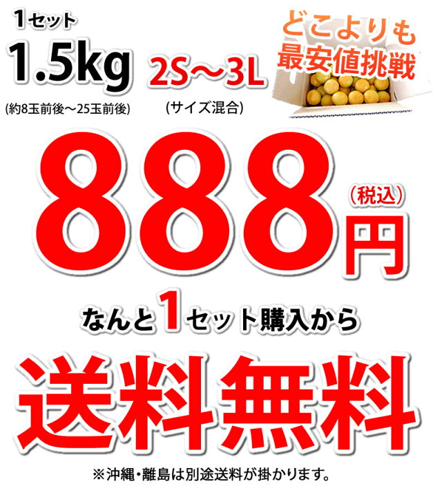 楽天市場】みかん 訳あり 送料無料 1.5kg 2セット購入で1セットおまけ 3セット購入で3セットおまけ 熊本みかん 熊本県産 極早生みかん 蜜柑 ミカン : Foody's 楽天市場】みかん 訳あり 送料無料 1.5kg 2セット購入で1セットおまけ 3セット購入で3セットおまけ 熊本みかん 熊本県産 極早生みかん 蜜柑 ミカン : Foody's