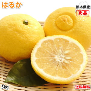 ͂邩 ݂  Gi 5kg S`2L ܂̐Vi ͂邩݂ ~J 