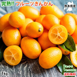  ݂ nt[c񂩂  1kg 2Zbgw1Zbg܂ F{Y nEX͔| k t[c