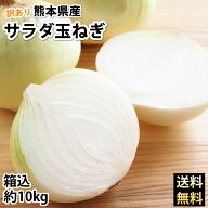 玉ねぎ サラダ玉ねぎ 訳あり 送料無料 10kg 箱込 (内容量9kg+不良補償分500g) 2S〜3L 熊本県産 お取り寄…
