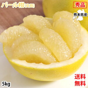 p[ U ݂  Gi 5kg M`2LTCY F{Y O[vt[c  t[c