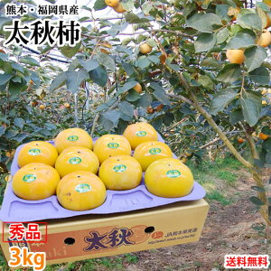 H` `  Gi3kg 8`14ʓ F{EY H イ  JL