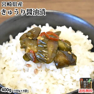 Е イݖ Y 400g(100g×4)  Bݖd |bL  {茧Y  イ 